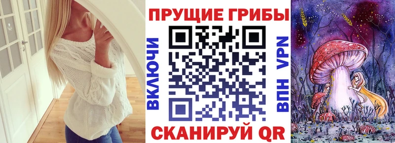 купить  сайты  Балахна  Галлюциногенные грибы ЛСД 